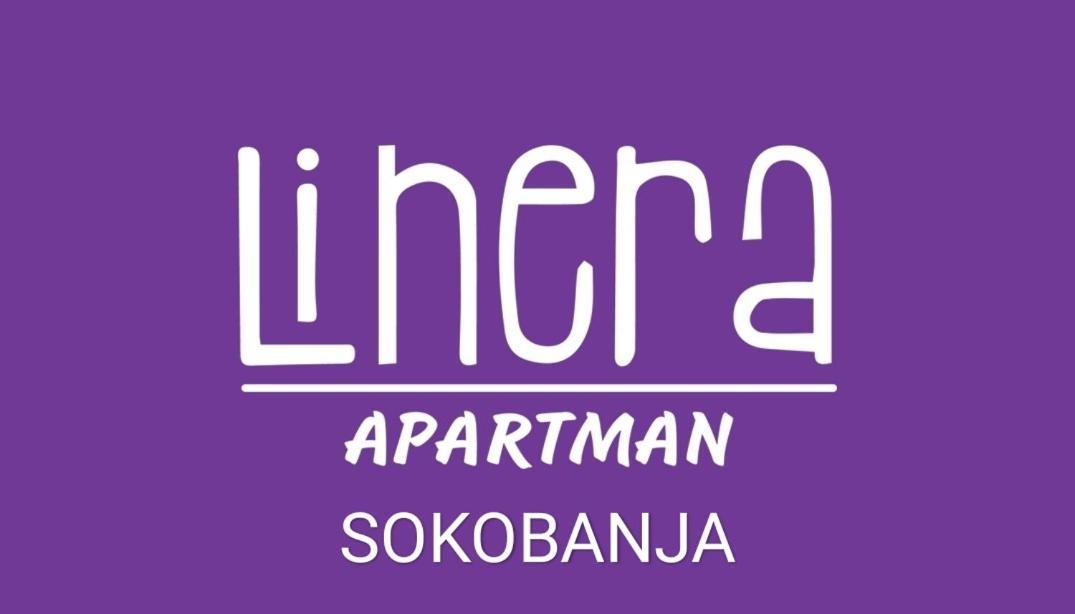 Apartman Linera Soko Banja Ngoại thất bức ảnh