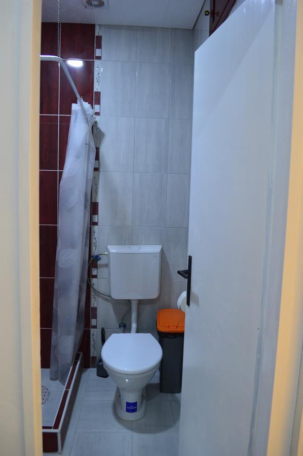Apartman Linera Soko Banja Ngoại thất bức ảnh